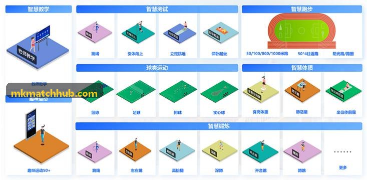 MK全景赛事拆解
